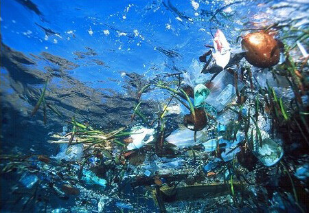 Avonden - 'Plastic soep' Avonden - 'Plastic soep'