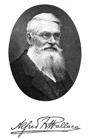 Noorderlicht - Alfred Russel Wallace Noorderlicht - Alfred Russel Wallace
