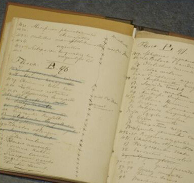 Noorderlicht - logboek Noorderlicht - logboek