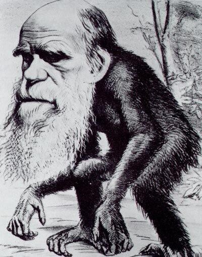 darwin karikatuur darwin karikatuur