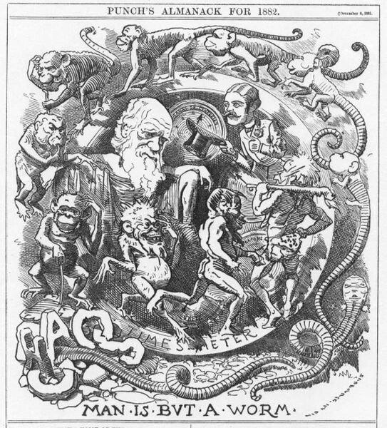 Darwin tekening punch Darwin tekening punch