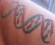 DNA-tatoeage
