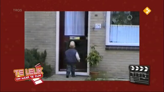 Te leuk om waar te zijn