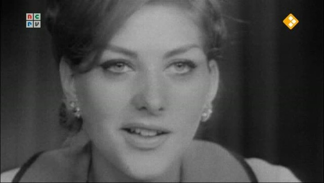 TV Monument: Omroepsters