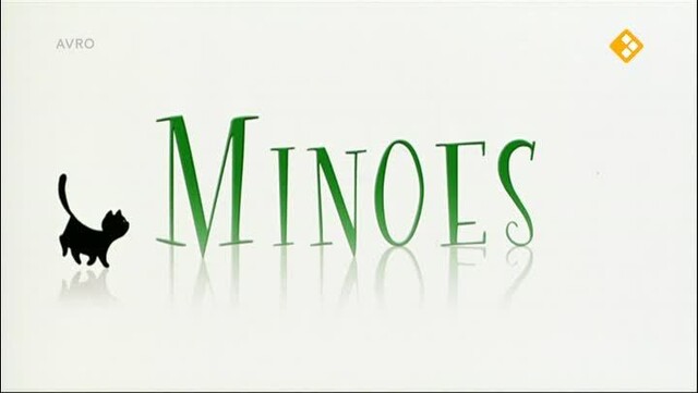 Minoes