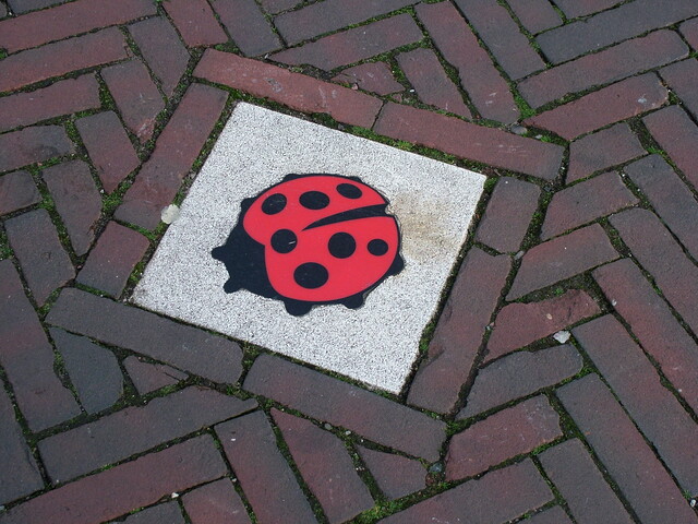 Geweld op school Geweld op school