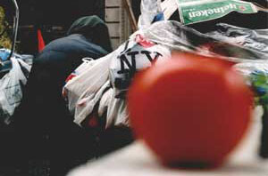 De tomaat en de Big Apple De tomaat en de Big Apple